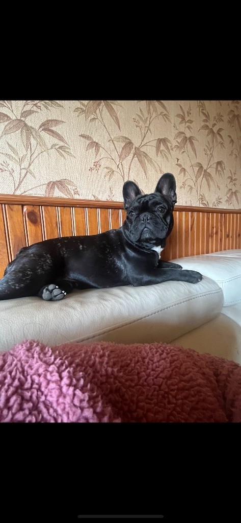 Urane De La Vallée Du Cagire