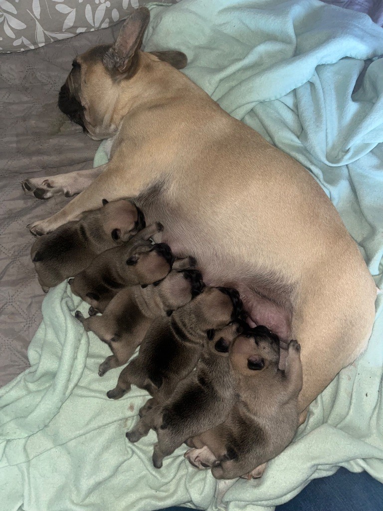 Les bébés sont arrivés !